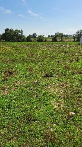  Terrain  vendre 715 m