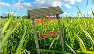  Terrain  vendre 1650 m