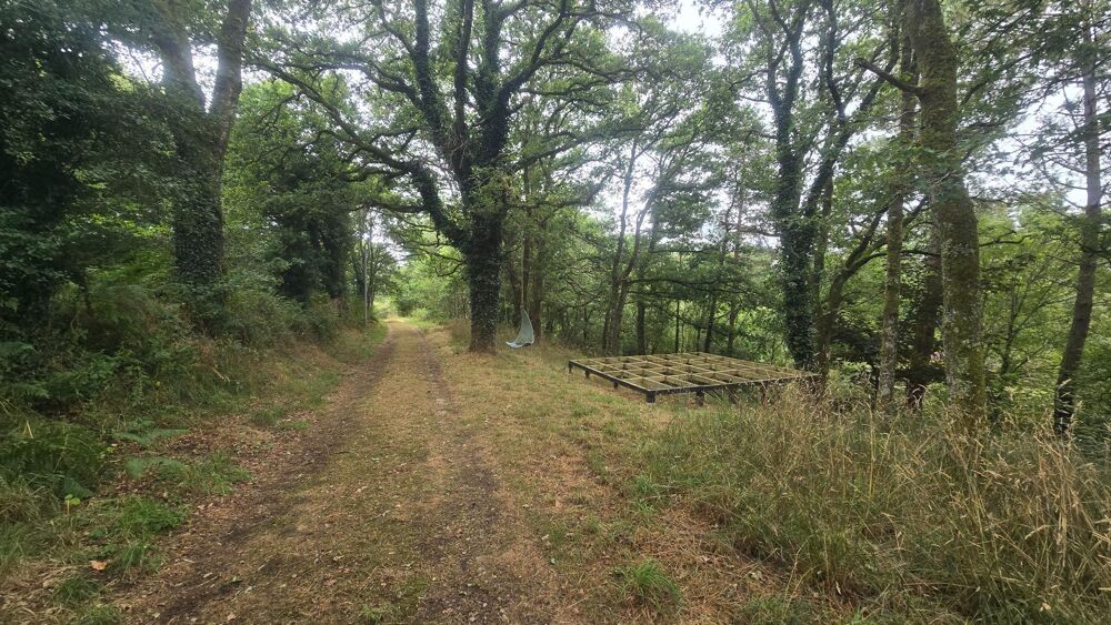 La tranquillité absolue avec un étang d' un hectare et maison de plain-pied