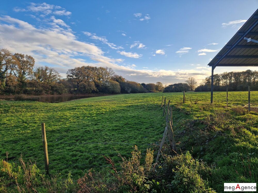 � vendre  Maison Nozay (44170)