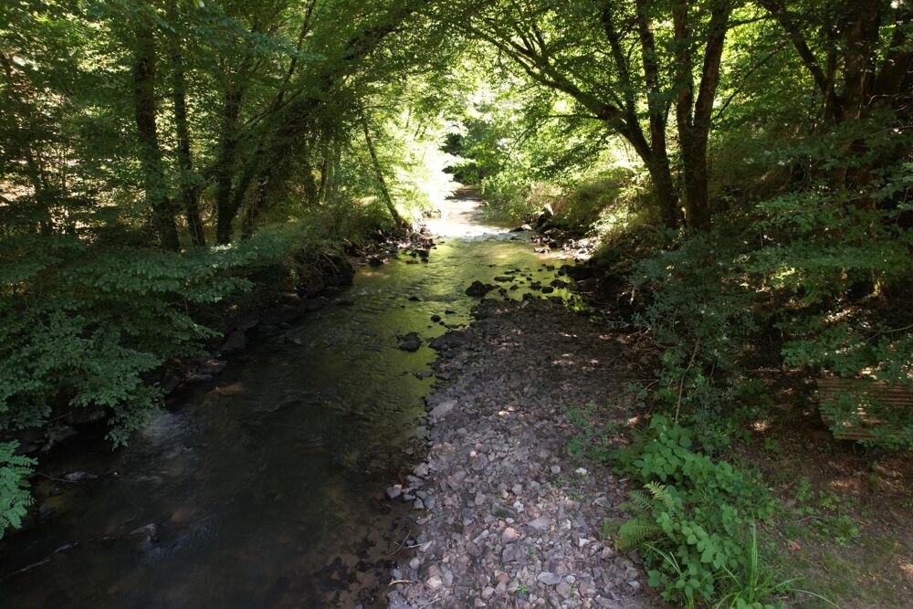 Vente Maison Propriété rare traversée par une rivière - Dépendances -Théatre de verdure Vigeois