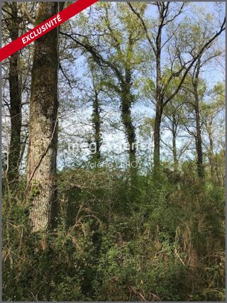  Terrain � vendre 34500 m�