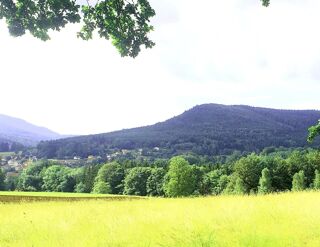  Immeuble � vendre 300 m�