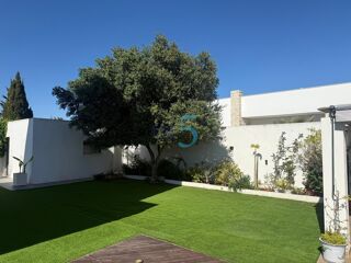  Villa à vendre 6 pièces 272 m² Torrevieja