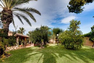  Villa à vendre 6 pièces 550 m² Torrevieja