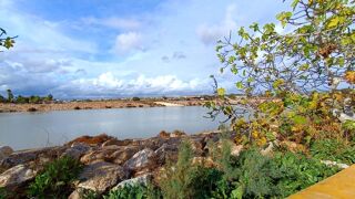  Appartement � vendre 3 pi�ces 74 m� Guardamar del segura