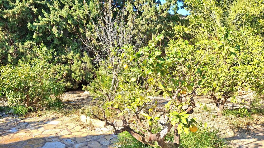 � vendre  Maison Mutxamel