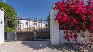  Villa à vendre 5 pièces 196 m² Daya nueva