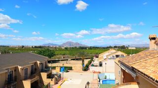  Maison � vendre 8 pi�ces 303 m� Daya nueva