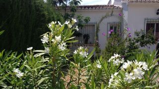  Villa à vendre 3 pièces 65 m² Murla