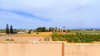  Maison à vendre 3 pièces 171 m² Daya nueva
