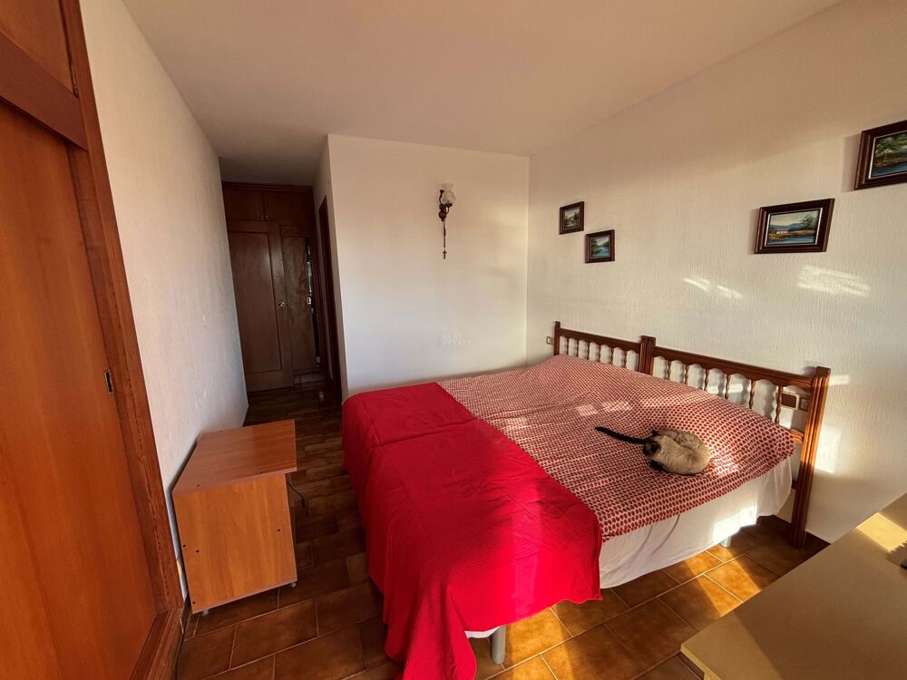 � vendre  Appartement Campello (el)