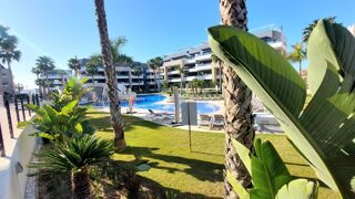  Appartement  vendre 3 pices 80 m Orihuela