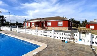  Appartement � vendre 7 pi�ces 380 m� Elche/elx