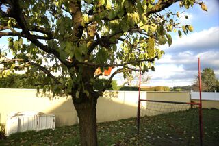  Maison � vendre 4 pi�ces 100 m�