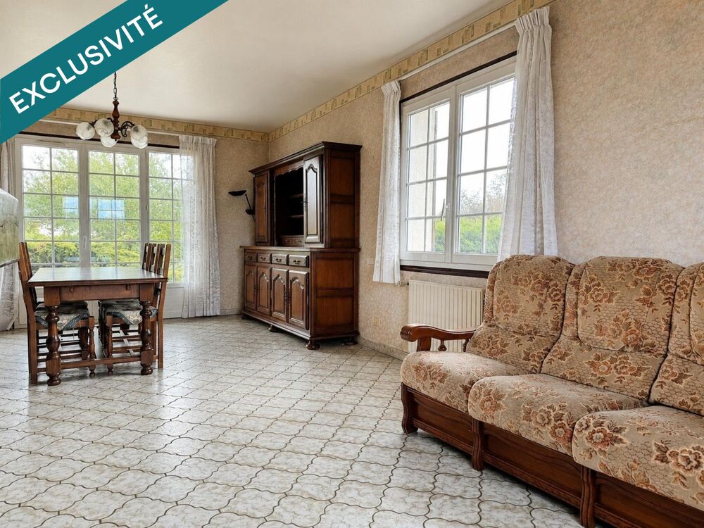 Vente Maison Maison, grand terrain et 110 m² de sous-sol Chatillon-sur-loire