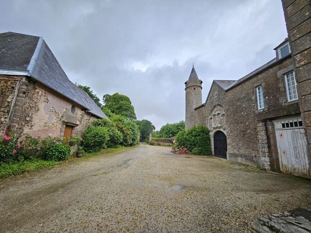 à vendre  Propriété/château Le Teilleul (50640)