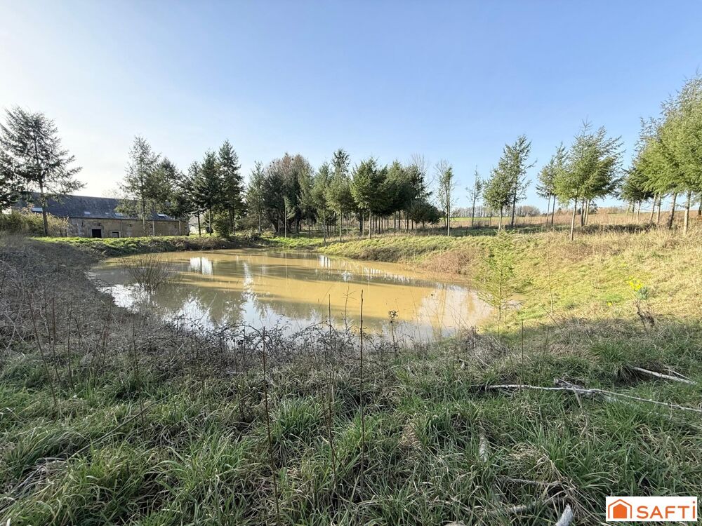 Maison de bourg avec dépendances sur plus de 2 hectares