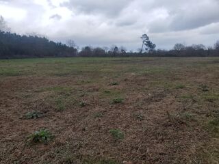  Terrain � vendre 22429 m�