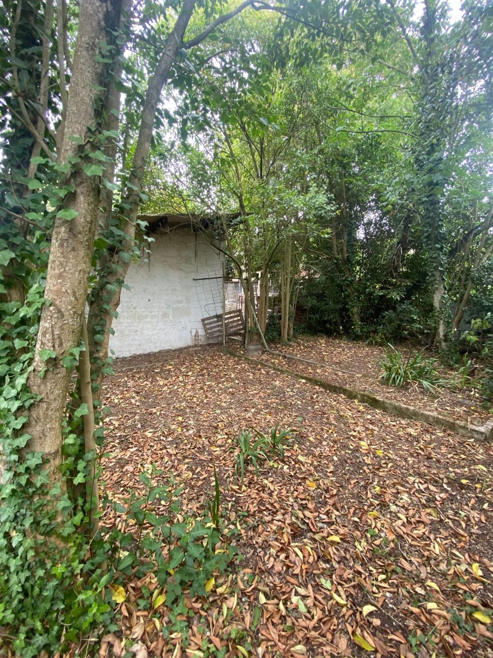 Vente Terrain tERRAINDE 114m2+ cabanon de 15m2 Niort