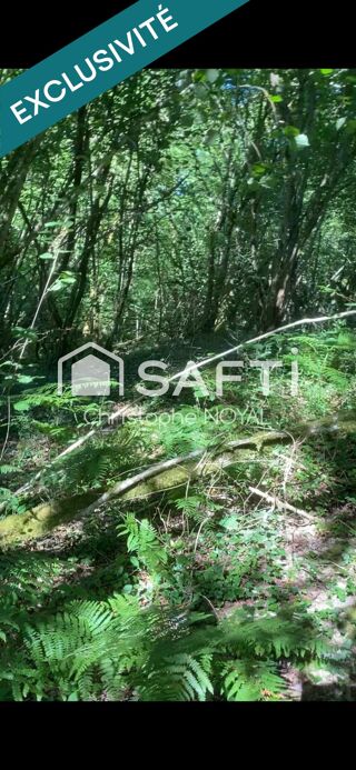  Terrain à vendre 7032 m²