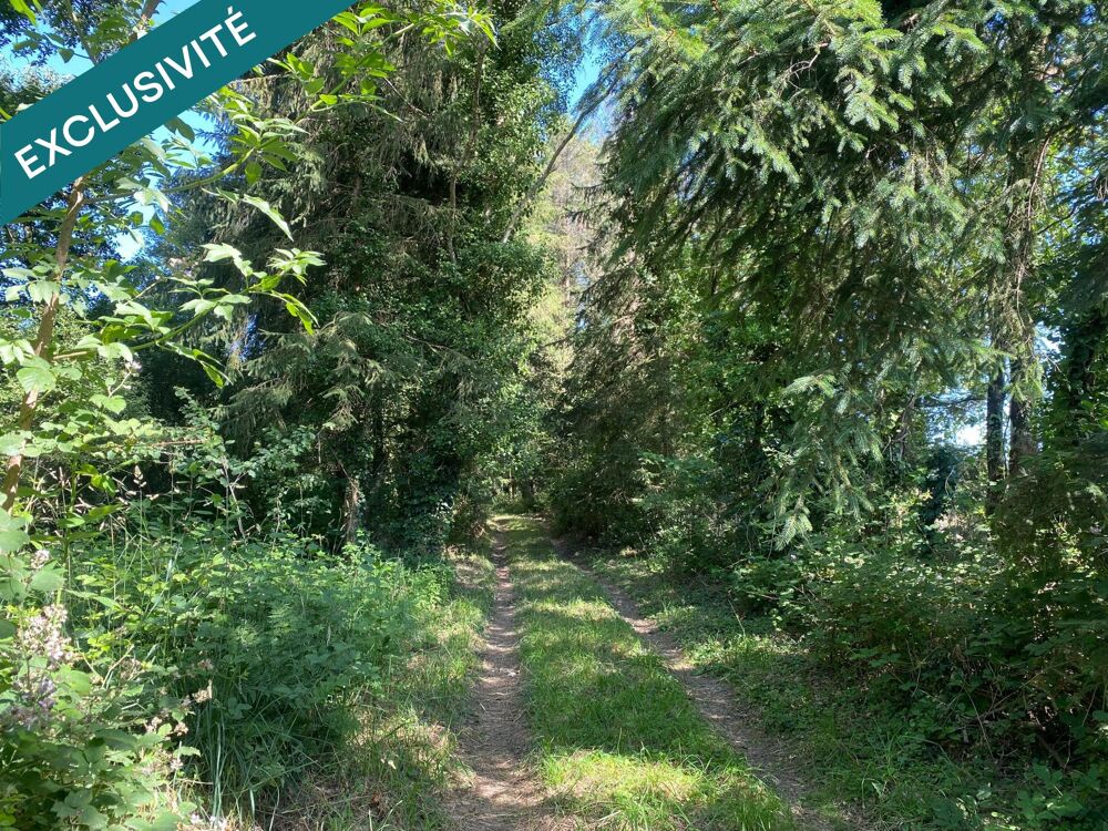 Vente Terrain Terrain agricole et de loisirs de 5 180 m² – à proximité de Langon Langon