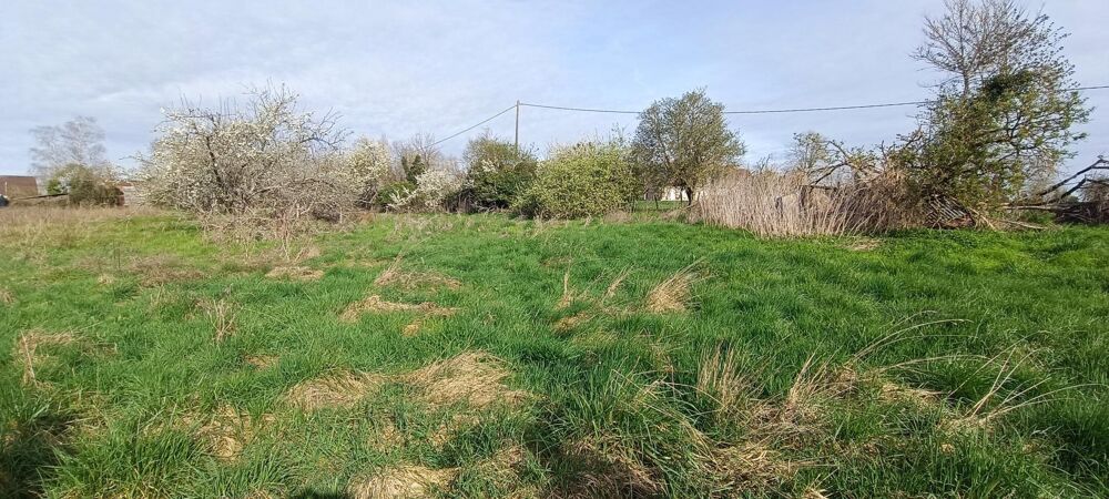 Vente Terrain TERRAIN VILLEQUIER Villequiers
