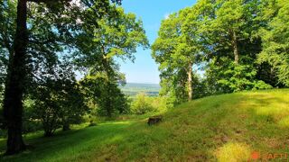  Terrain � vendre 4099 m�
