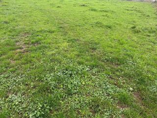  Terrain � vendre 790 m�