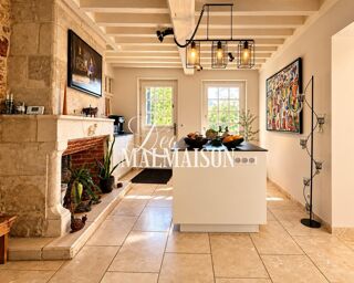  Propriété/château à vendre 10 pièces 250 m²
