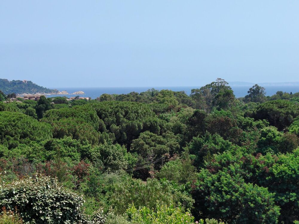 � vendre  Maison Le Lavandou (83980)