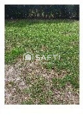  Terrain à vendre 16510 m²