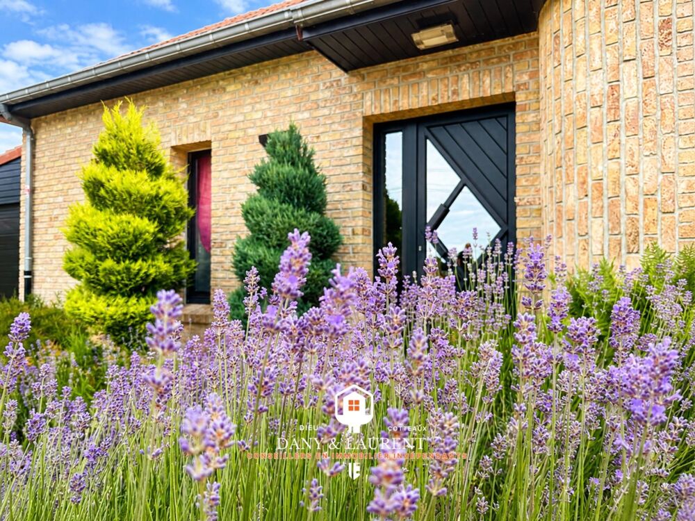 Vente Maison NOUVEAUTÉ À SAINT-AMAND-LES-EAUX Saint-amand-les-eaux