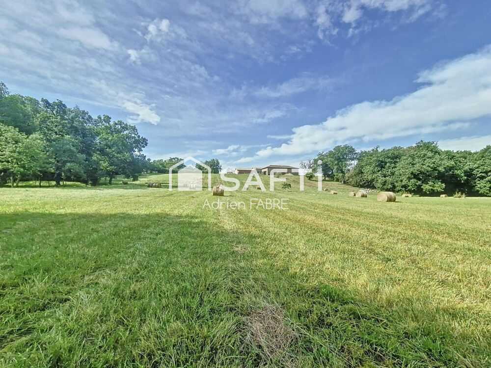  vendre  Proprit/chteau Saint-Sulpice (81370)