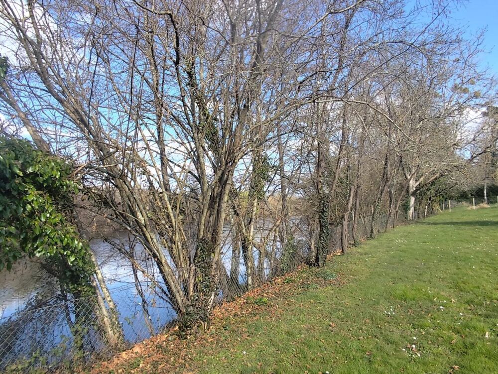 Vente Maison MAISON DE PLAIN PIED - PARC - BORD RIVIERE - RARE Le blanc