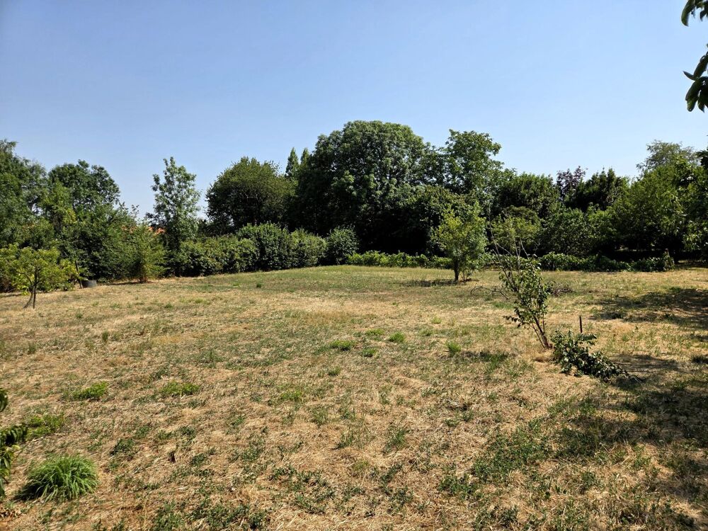 Vente Terrain Terrain constructible plat, avec verger! Saint-remy