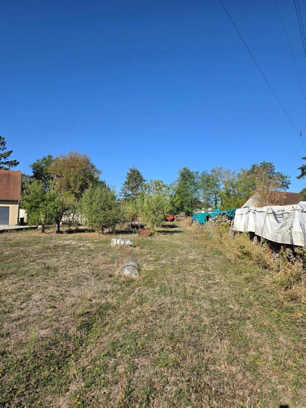 Vente Terrain Terrain constructible arboré de 2 248 m² Sennecey-le-grand