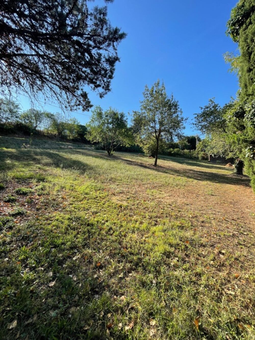 Vente Terrain Terrain à 2km du centre ville Albi