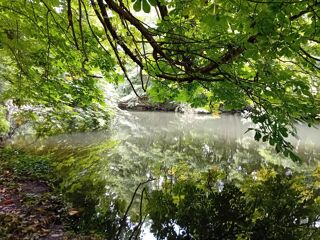  Terrain  vendre 5954 m