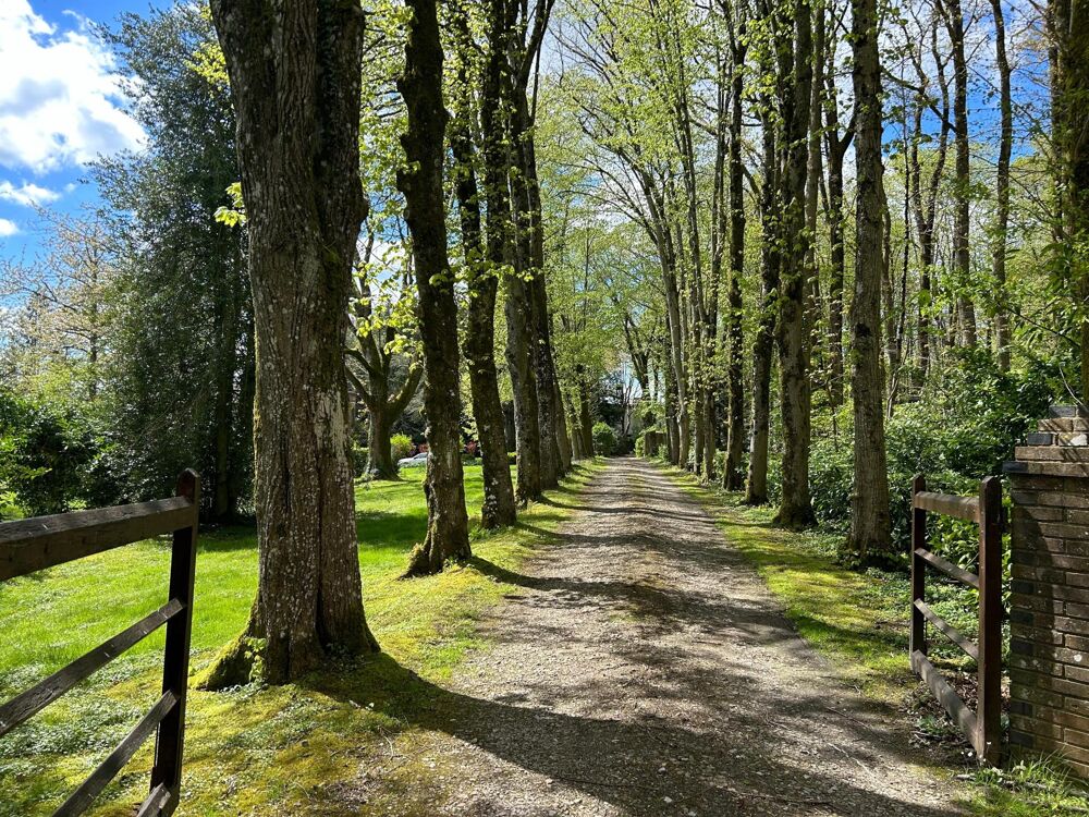 � vendre  Propri�t�/ch�teau Tourouvre (61190)