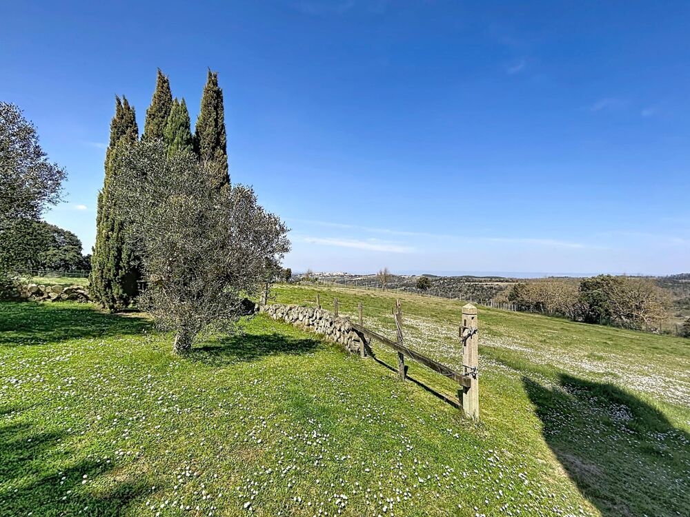 � vendre  Maison Montr�al (11290)