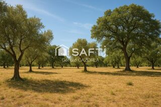  Terrain � vendre 590 m�