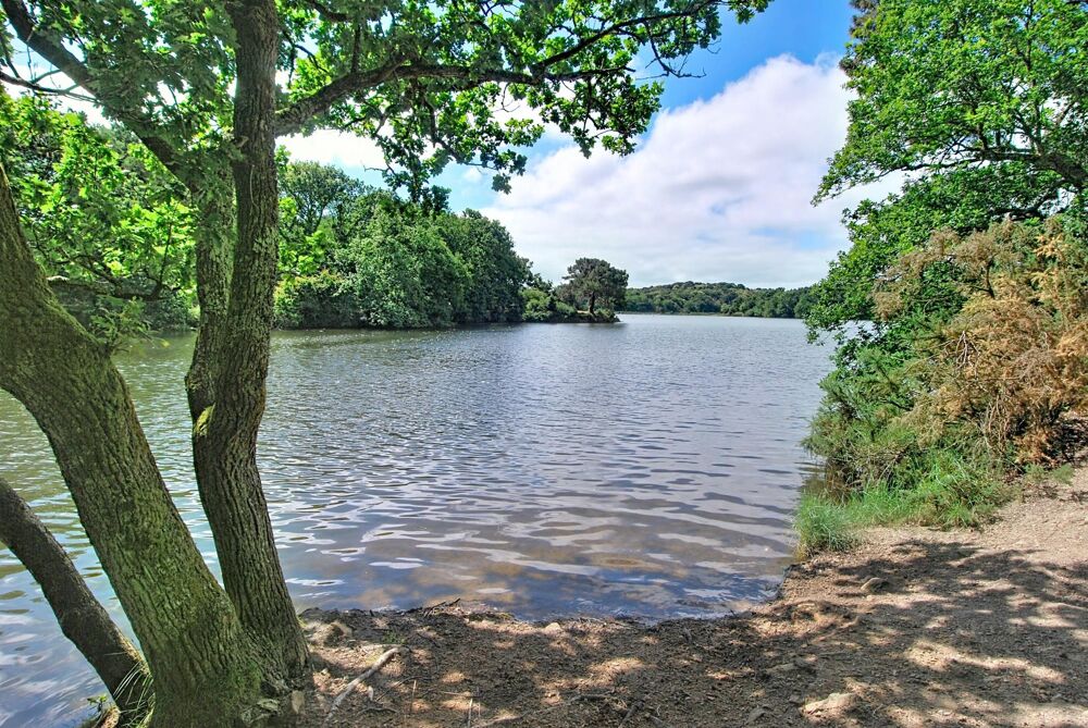 Vente Maison Un lieu rare, entre terre et mer, à découvrir Ploemeur