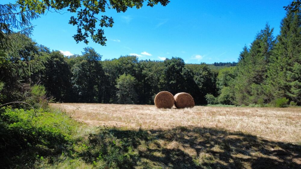 Vente Maison habitation et dépendances sur 6 hectares Le soulie