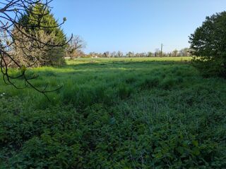  Terrain à vendre 2300 m²