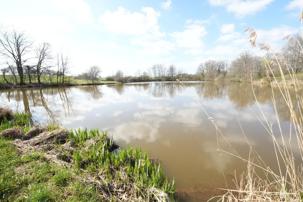 Vente Terrain terrain 15000M², avec étang. Evette-salbert