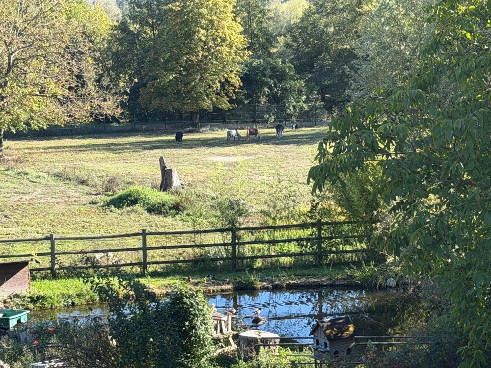 Vente Maison Propriété rare sur 9500 m² - 10 mn de La Ferté sous Jouarre. Sainte-aulde
