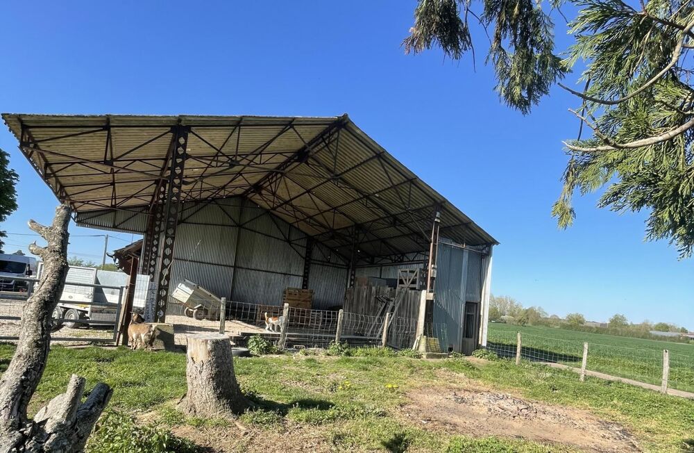 Vente Maison HABITATION rénovée avec dépendances et hangar métallique ouvert Saint-bonnet-en-bresse
