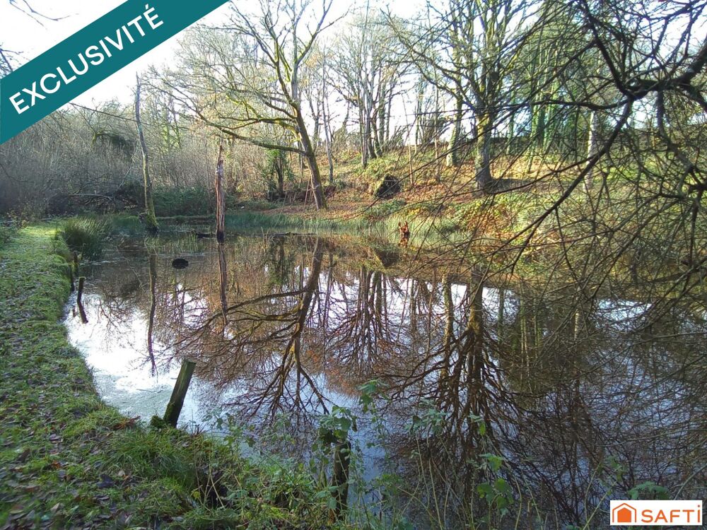 Vente Maison Grange sur plus de 1.2 hectare sans voisins Ranes
