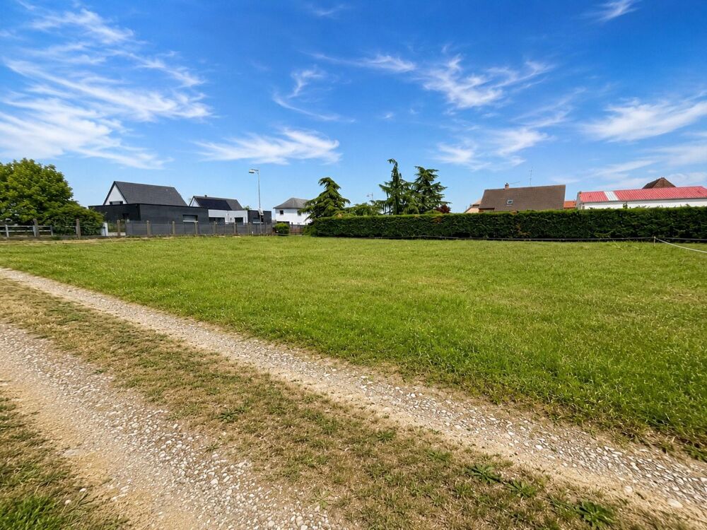 Vente Terrain Terrain constructible 905 m² libre constructeur Roggenhouse